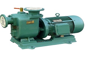 030173O-PUMP MIURA